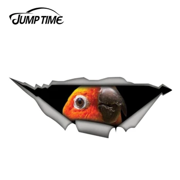 

Jump Time 13cm x 4.8cm Sun conure parrot sticker bird car decal Torn Metal Decal Funny Car Stickers Window Bumper 3D Car Styling