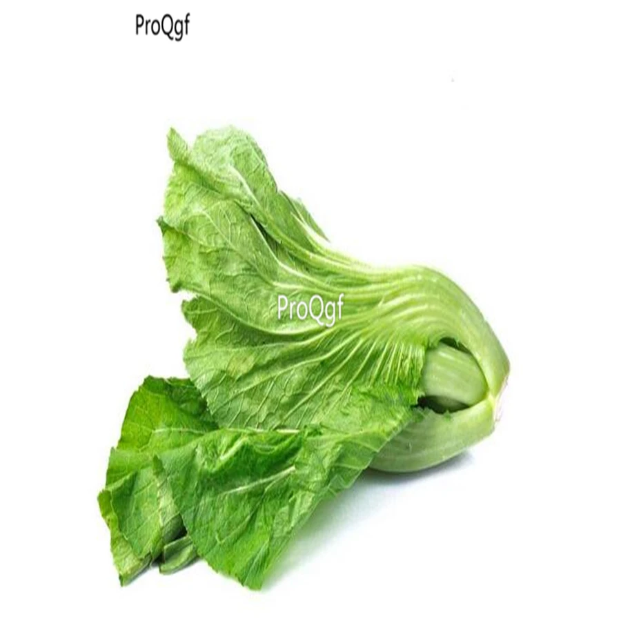 Ngryise 1000 шт набор Brassica juncea