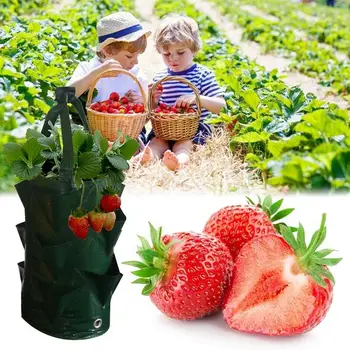 

2pcs 3 Gallon Garden Hanging Planter Grow Bag Plant Pouch Tomato Strawberry Flower Herb Bags