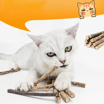 

5pcs Natural Pet Cat Toy Molar Toothpaste Stick Actinidia Fruit Silvervine Cat Snacks Sticks Pet Cleaning Teeth Pet Supplies