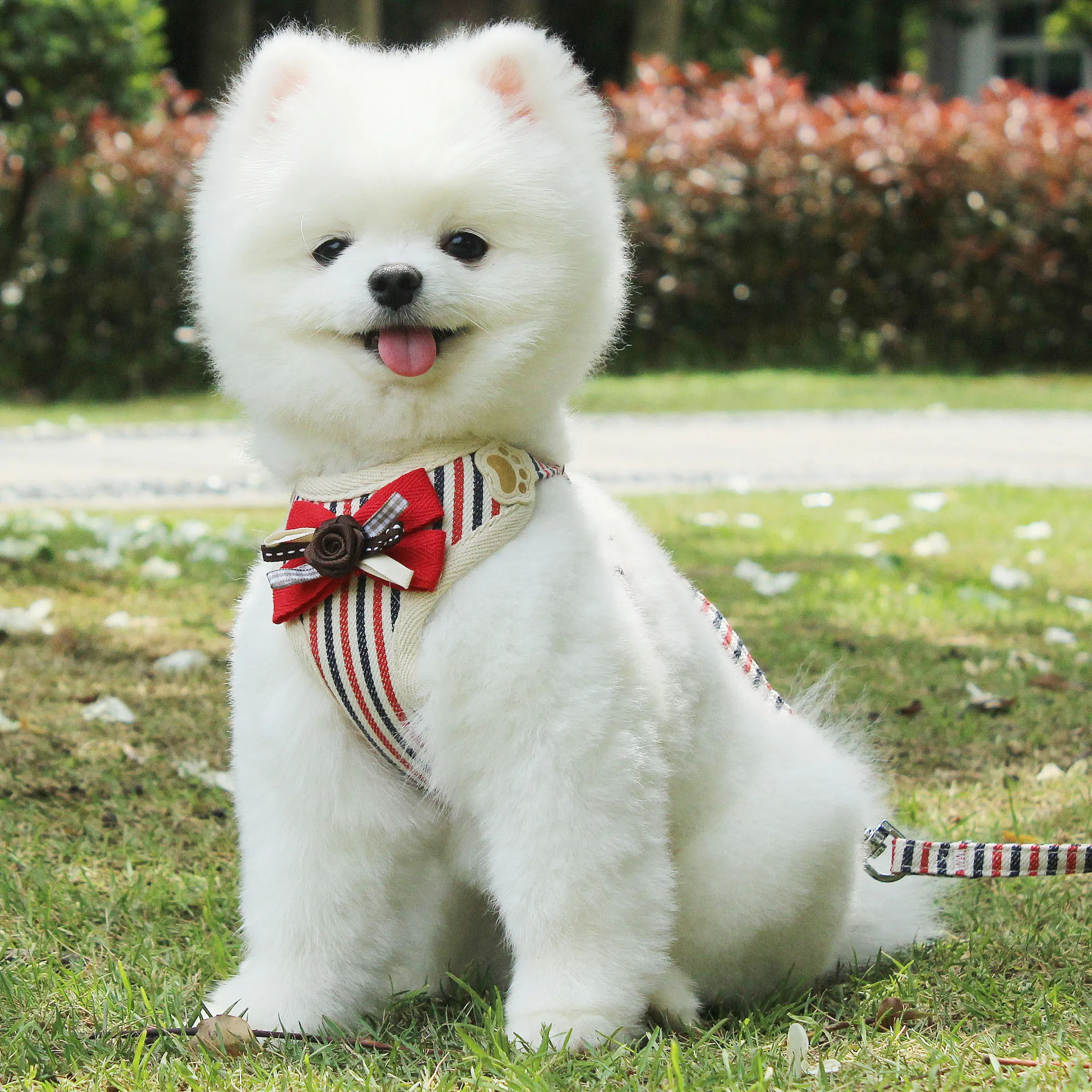 

Pet Dog Cat Harness with Leash Adjustable Vest with Bow Bell Walking Supplies Soft Breathable Plaid Collar Puppy for Small Dogs
