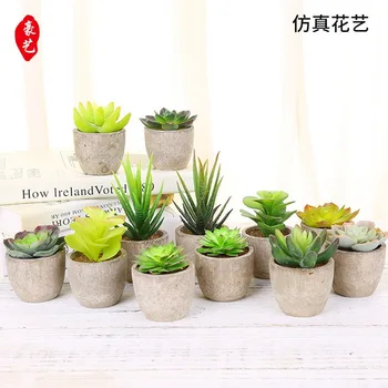 

Model Succulent Simulation Bonsai Creative Imitation Flowers Model Potted Artificial Succulent Pant Succulent Plant Bonsai Small