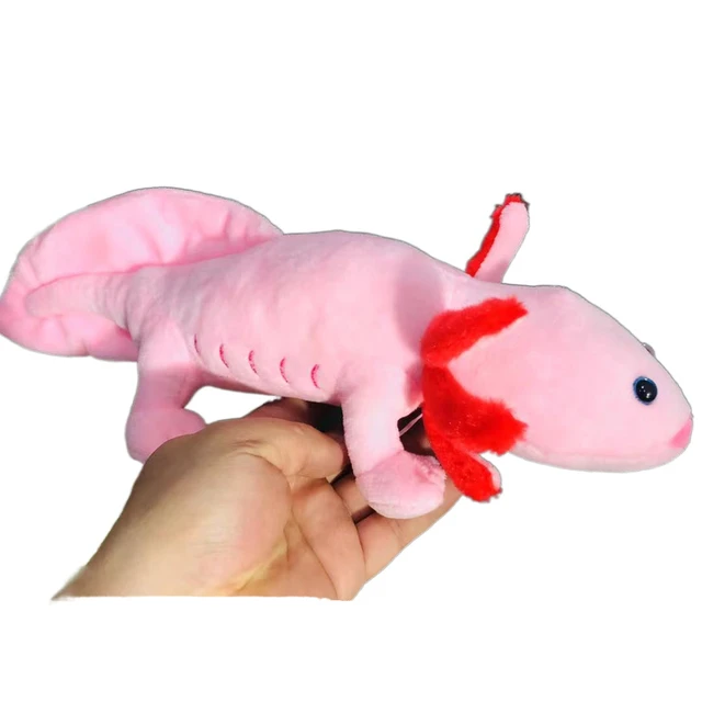 Axolotl-peluche de Animal de peluche para niños, muñeco de peluche de 30cm,  color rosa, Kawaii, Salamande, regalo de cumpleaños y Navidad _ -  AliExpress Mobile