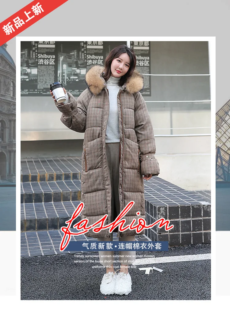 Hooded cotton cotton20190727-1_01.jpg