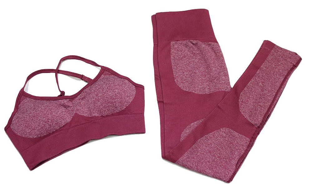 Одежда для тренажерного зала и фитнеса, комплект из 2 предметов для йоги, женский спортивный костюм, одежда для тренировок, спортивный костюм для бега, Бесшовные штаны, леггинсы, бюстгальтер, спортивная одежда