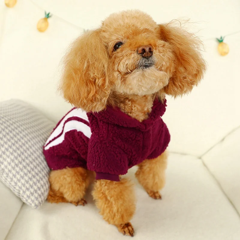 

Winter Warm Lamb Cashmere Small Dog Clothes Cute Pet Cat Dog Jacket Coat Puppy Chihuahua Dog Hoodie Vest Clothes for Pet