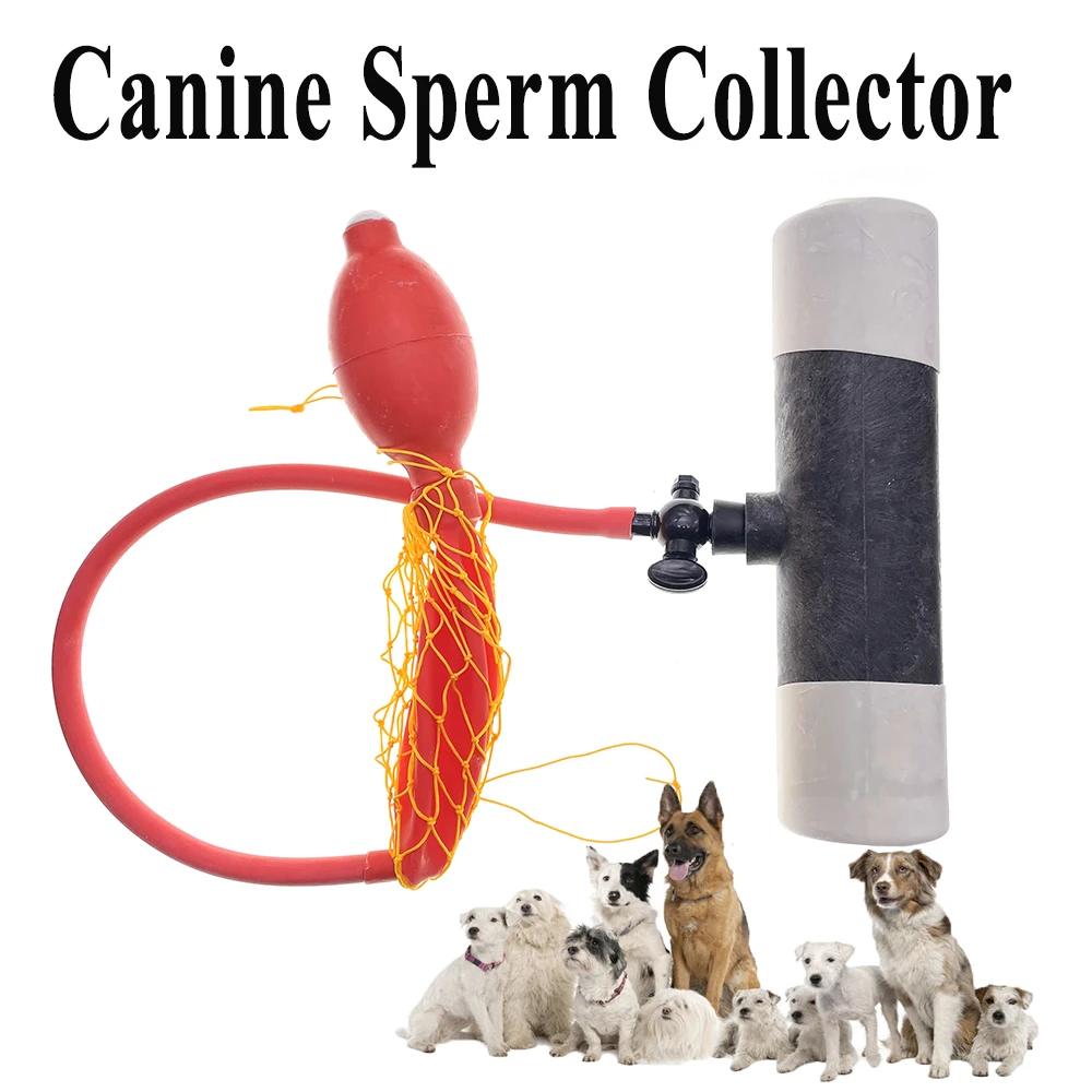 Sperm Collector