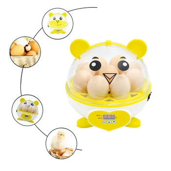 

110-240V Mini 9 Egg Chicken Incubator Poultry Brooder Digital Temperature Hatchery Egg Incubator Hatcher Duck Bird Pigeon