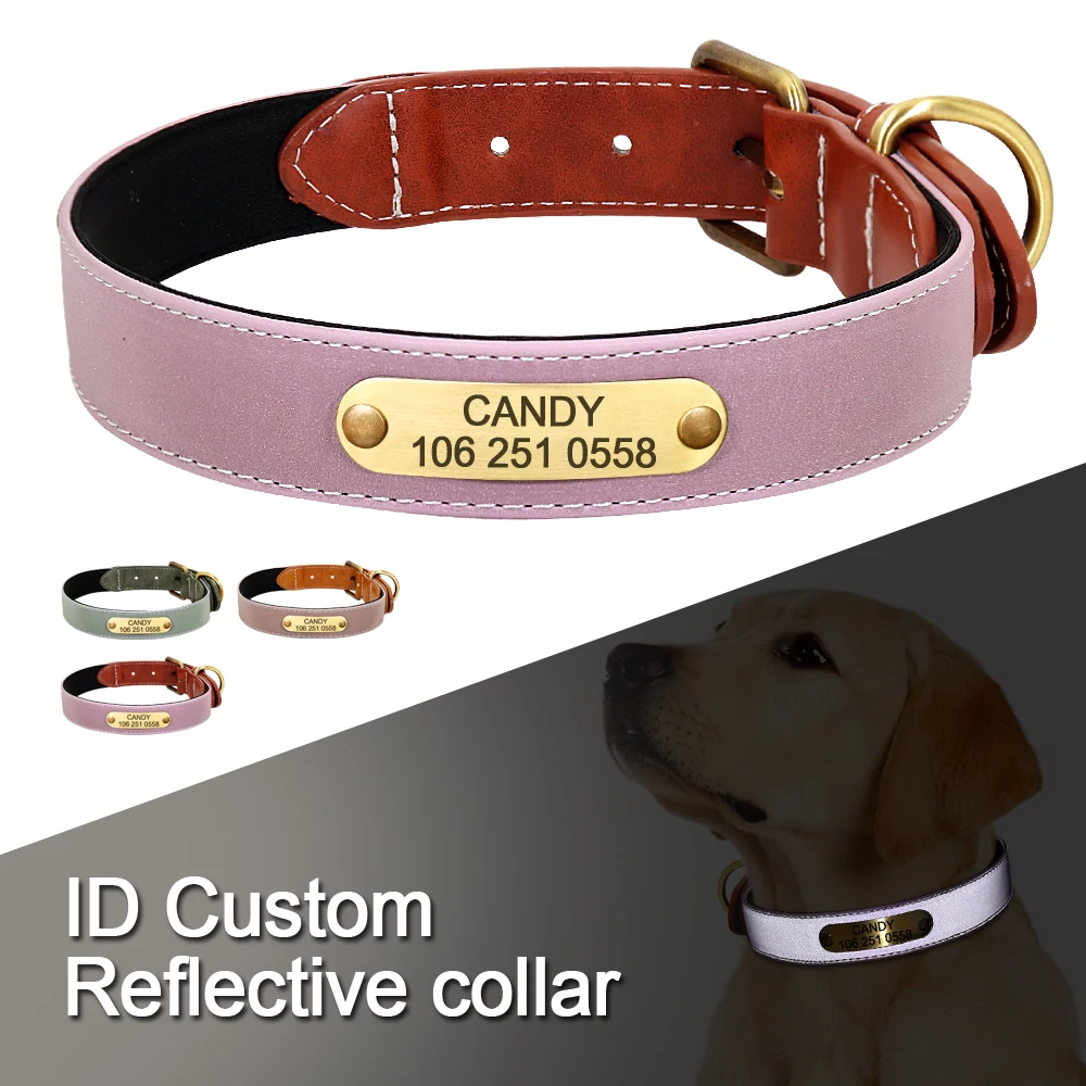 Visual Reference: Personalized Engraved Dog Nameplate Collar