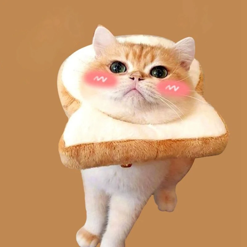 

Pet Bread Shaped Cat Collar Wound Healing Cat Scarf Collars Medical Protection Neck Ring For Pet accessories