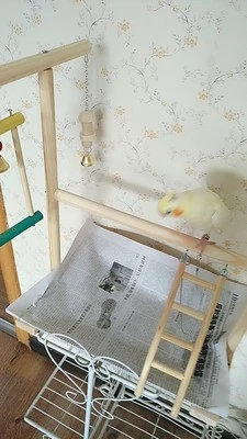 Parrot Playstand с Качели Попугай ноги кольцо цепочка птица стойка для приставки Cockatiel игровая площадка Фидер чашки Деревянный Манеж игровой лоток HW192