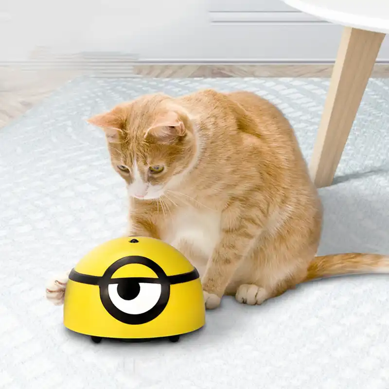interactive cat toy for kids