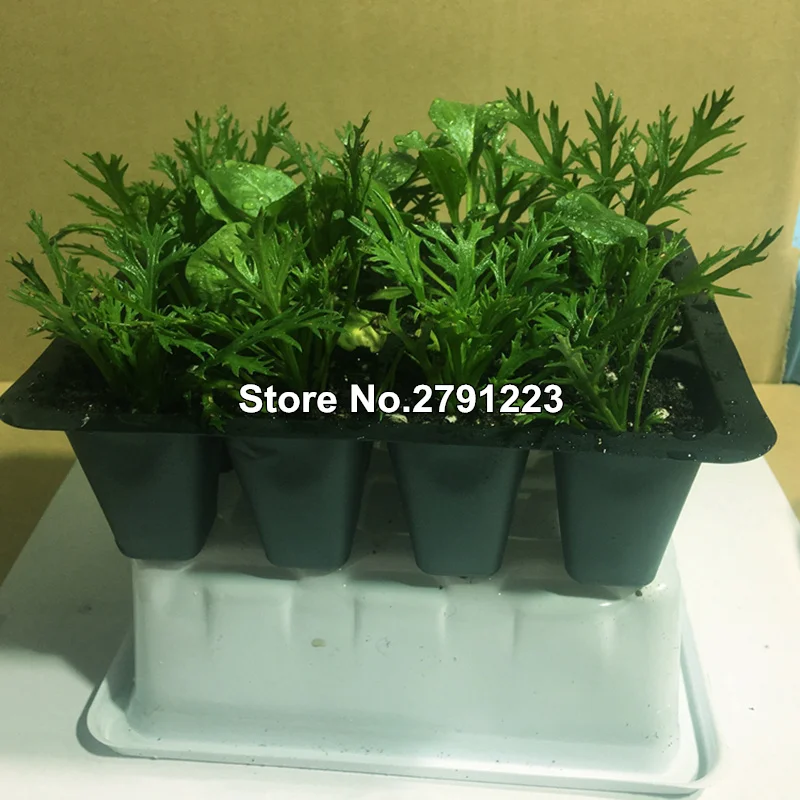 O1CN012ArkmRiDVfA6JH3_!!360838257