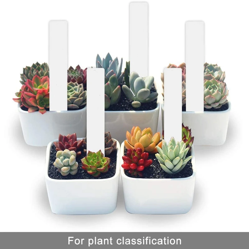 Practical 500 Pcs Reusable Pvc Plant Tag Label Tree Fruit Seedling Garden Flowerpot Plastic Label Sign Sorting Tool orchid pots with holes