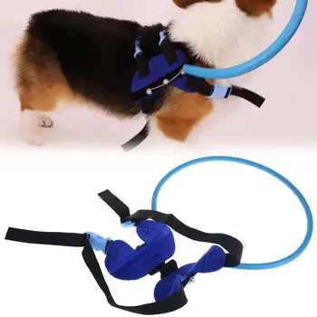 

Blind Dogs Safe Harness Pet Anti-collision Ring Cataract Circle Guide Cover