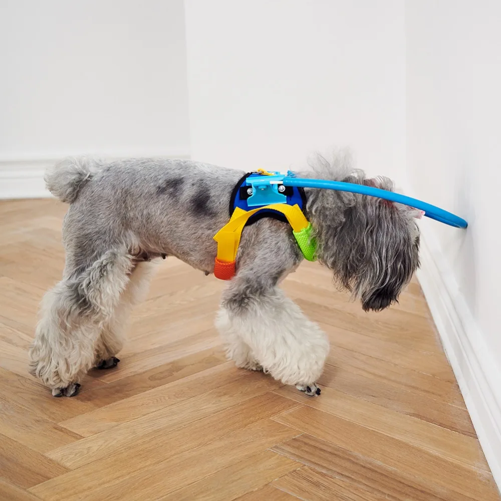 293327_no-logo_293327-1-09