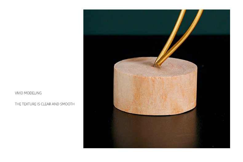 21113491733_488894358