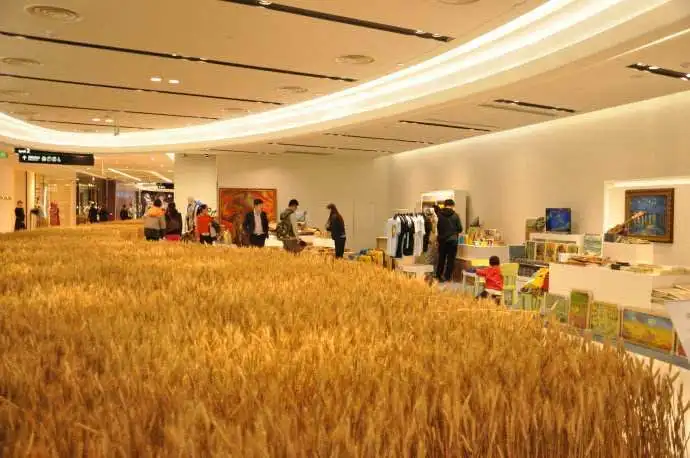 16002018309_179027579