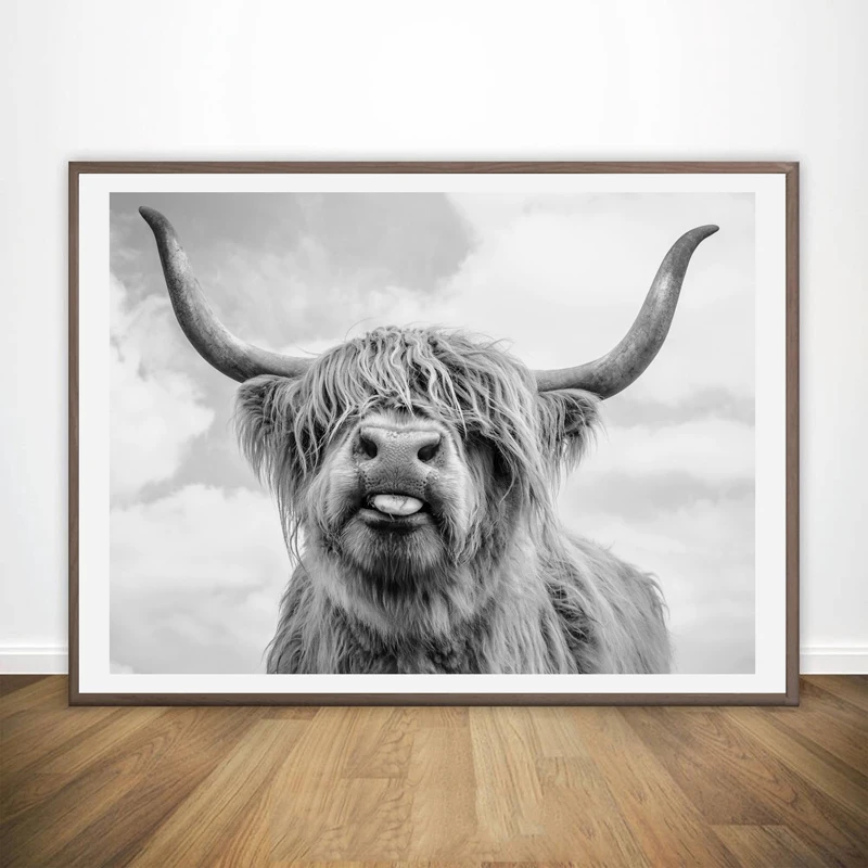 Настенная Художественная печать и постер Freedom Highland Cow, картины на холсте для декора гостиной, украшение стены яка