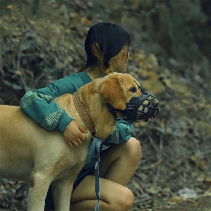 Hoopet Breathable Durable Muzzle For Large Dog Corgi Alaska Mask Golden Retriever Leash Harness Nylon Outing Pet Basket Supplier