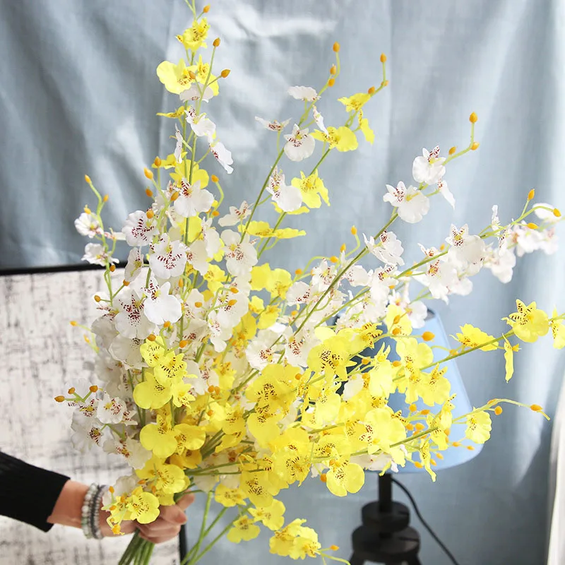 8658831227_516171610