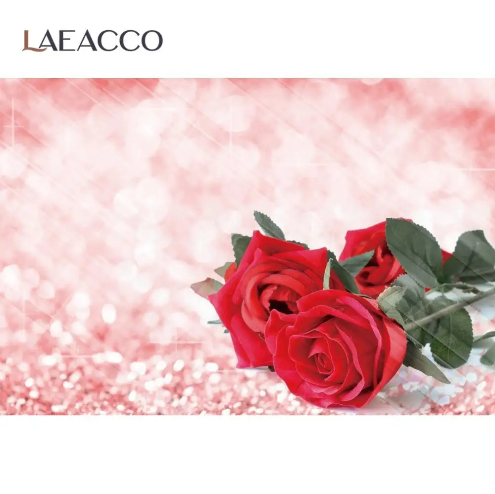 

Pink Backgrounds For Photography Rose Flowers Polka Dots Light Bokeh Happy Valentine's Day Party Love Photo Backdrop Photostudio