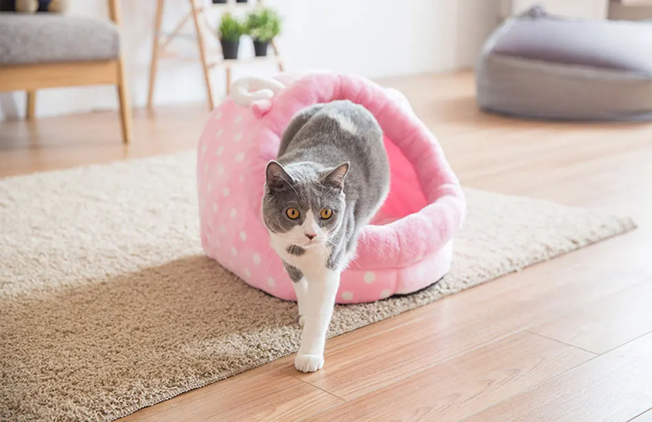 Cute Cat Bed Semi-closed Cats House Soft Warm Small Medium Dog Bed Pet House Built-in Fun Decoration for Cat Teddy Chihuahua Mat-44