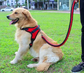 

Dog Harness+Leash Adjustable Nylon K9 Harness Collar Vest Leash Dog Leads for Small Large Dogs Walking Running Pets Accessories