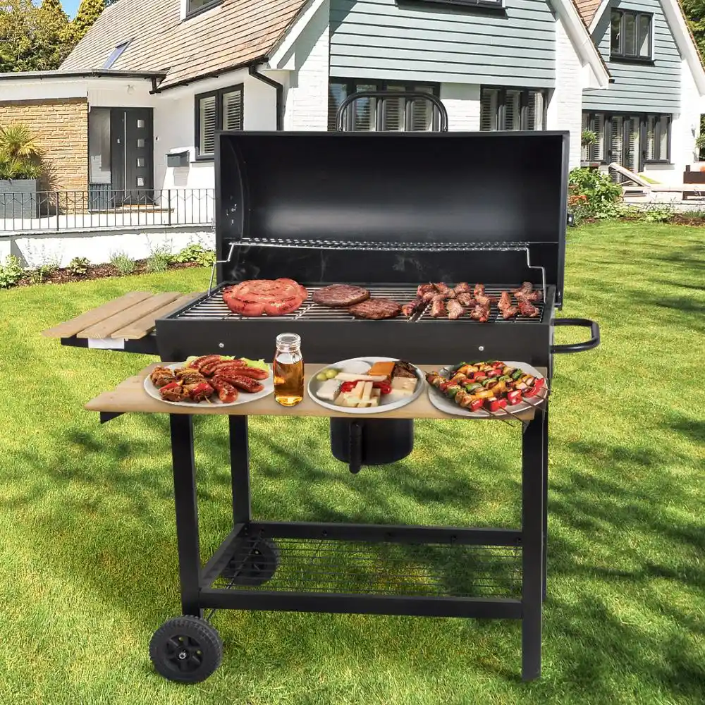 Barbecue Grill Backyard Propane Charcoal Grill