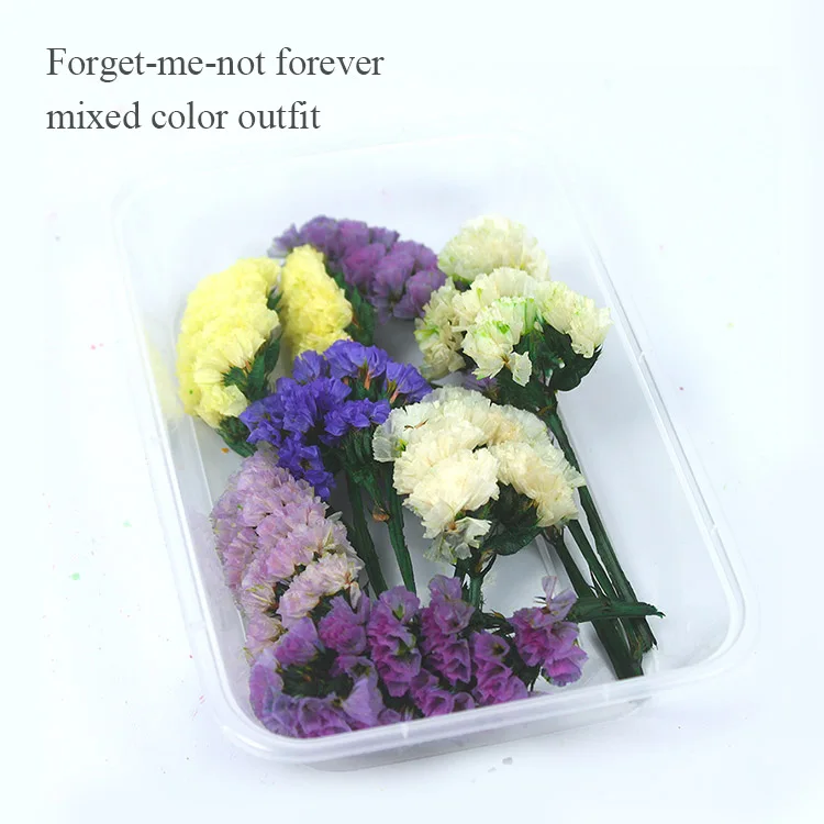 1 Box Real Dry Flower Dried Plants Natural Colorful DIY Frame Fan Embossing Materials Aromatherapy Candle Making Home Decoration 
