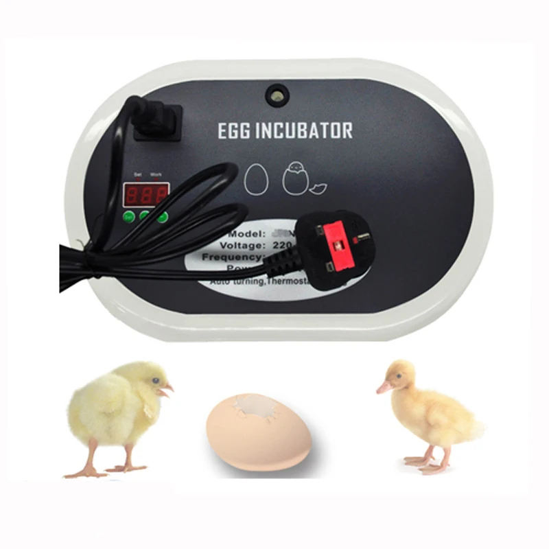 

NEW Automatic Incubator 12 Eggs Digital Turner Eggs Poultry Chicken Hatcher