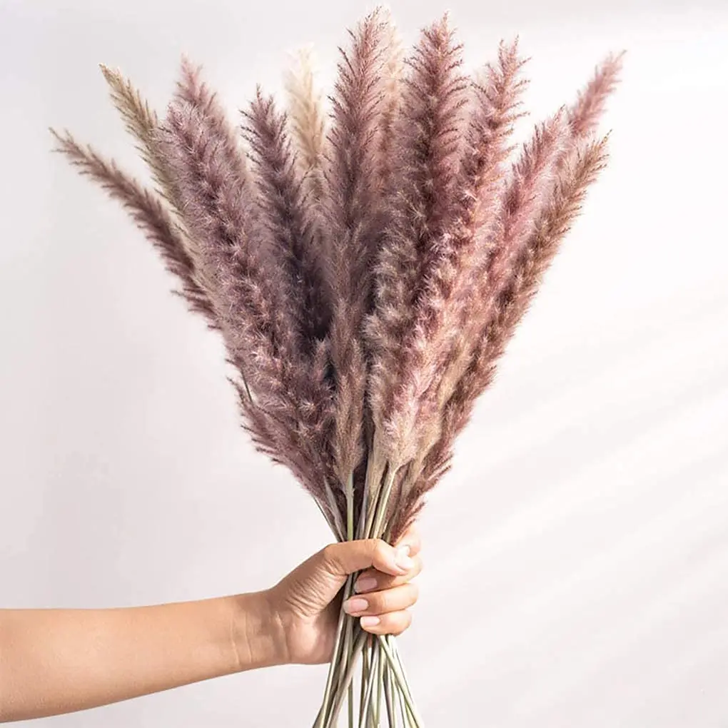 Dekoration 15Pcs Free Shipping Dried Pampas Grass Decor Wedding Flower Bunch Natural Plants for Home Christmas Decorations