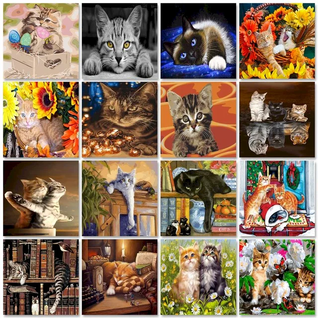 GATYZTORY Paint by Numbers Kit for Adults Beginner Cat Picture Oil Paint  Coloring By Numbers On Canvas Wall Art Unique Gift - AliExpress