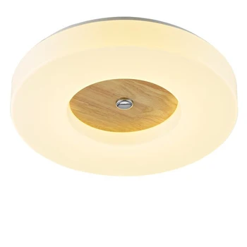 

HAIXIANG LED Ceiling Light Fixtures Ceiling Lamp Bedroom Corridor Lighting Modern Lamps Fixtures