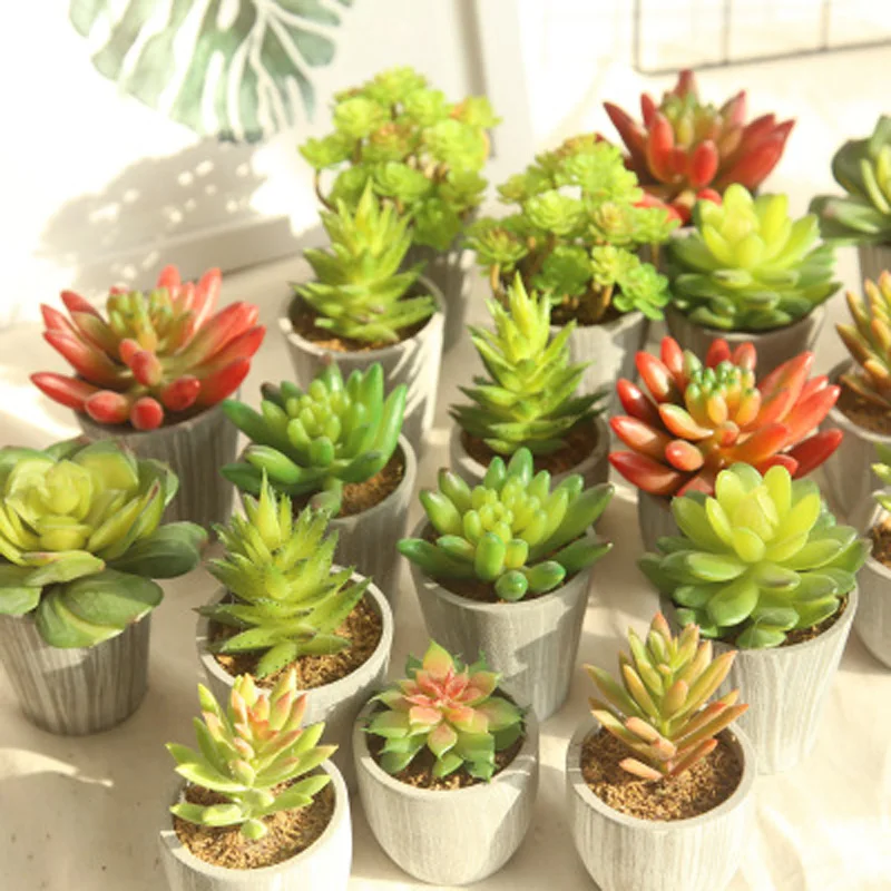 

Green Flocking Artificial Succulents Plants Bonsai Desktop Vivid Plants Wedding Decoration Plant Plante Artificielle