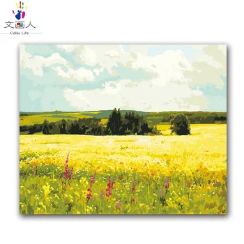 

diy ditigal oil painting package by numbers with kits for adult kids field scenery flower sky Oil painting practice
