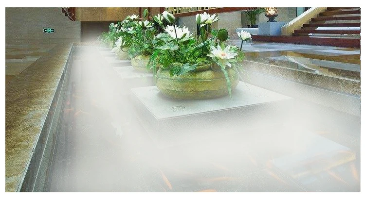 09