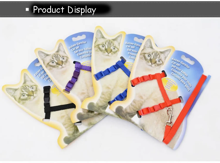 3818363256_1624998023