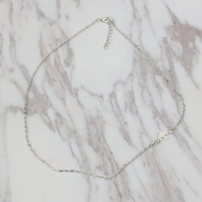 3899456491_204193426