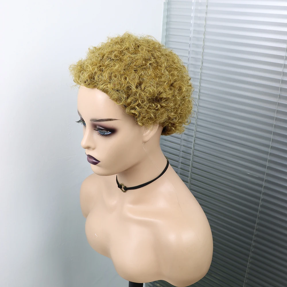 Short Curly Hair Wigs Pixie Cut Brazilian Human Hair For Black Women Natural Black 150% Density Glueless Afro Kinky Curly Wig