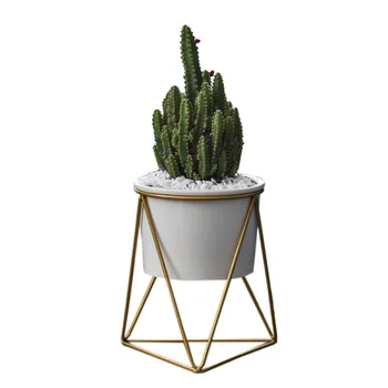 

Geometric Modern Style Holder Metal Stand Iron Rack Gold with White Ceramic Planter Desktop Garden Pot Succulents Plants S1
