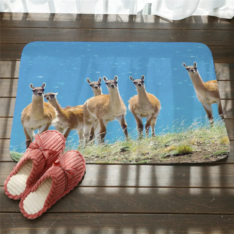 Альпака шаблон мультфильм стиль ковры Противоскользящие коврики наружные коврики животных передней двери коврики 40x60 50x80 см