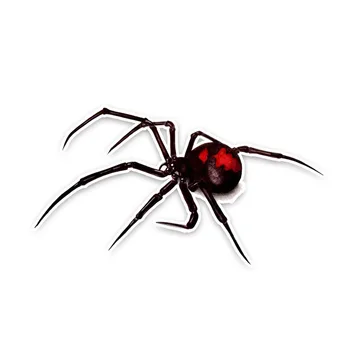 

Dawasaru Black Widow Spider Car Sticker Personalized Sunscreen Decal Laptop Motorcycle Auto Accessories Decoration PVC,13cm*7cm