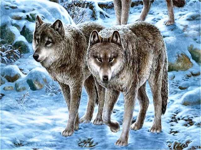 AZQSD Unframe DIY Oil Painting By Numbers Wolf Handpainted Gift