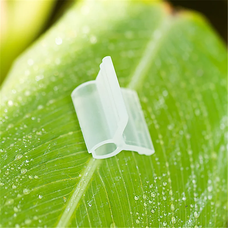 QQ截图20200206110952_副本