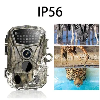 

Outdoor HD Waterproof Infrared Hunting Camera Set For Outdoor orchards, forests, fish ponds, warehouses