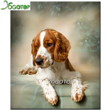 

Full 5D DIY Diamond Painting animal dog 3D Rhinestone Embroidery springer spaniel Cross Stitch Mosaic Painting Decor pet YY2123