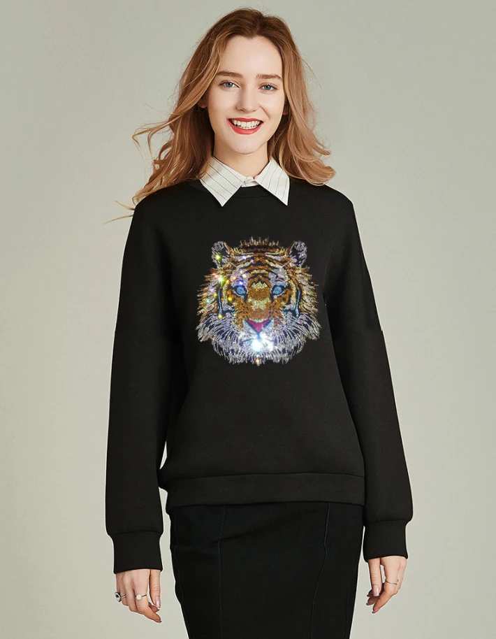 

Woman's Rhinestones Colors Hoodies Sweatshirts Female 2020 Rhinestone Warm Hoodies Lady Autumn Fashion Streetwear Tops Women