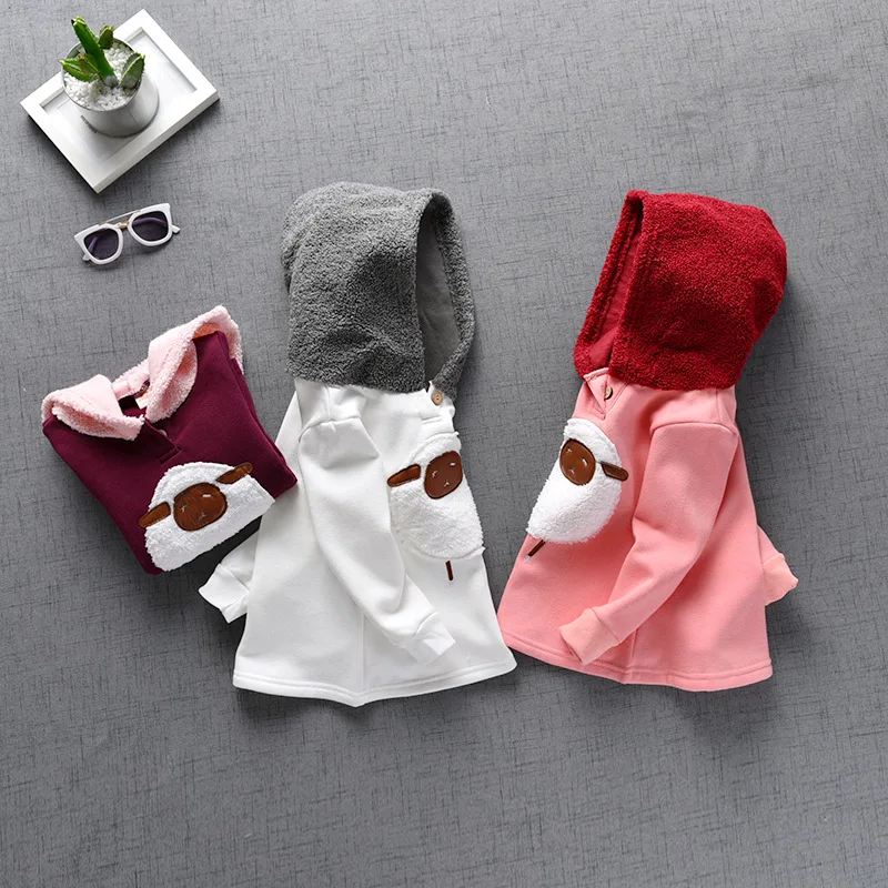 11575218916_1756465118