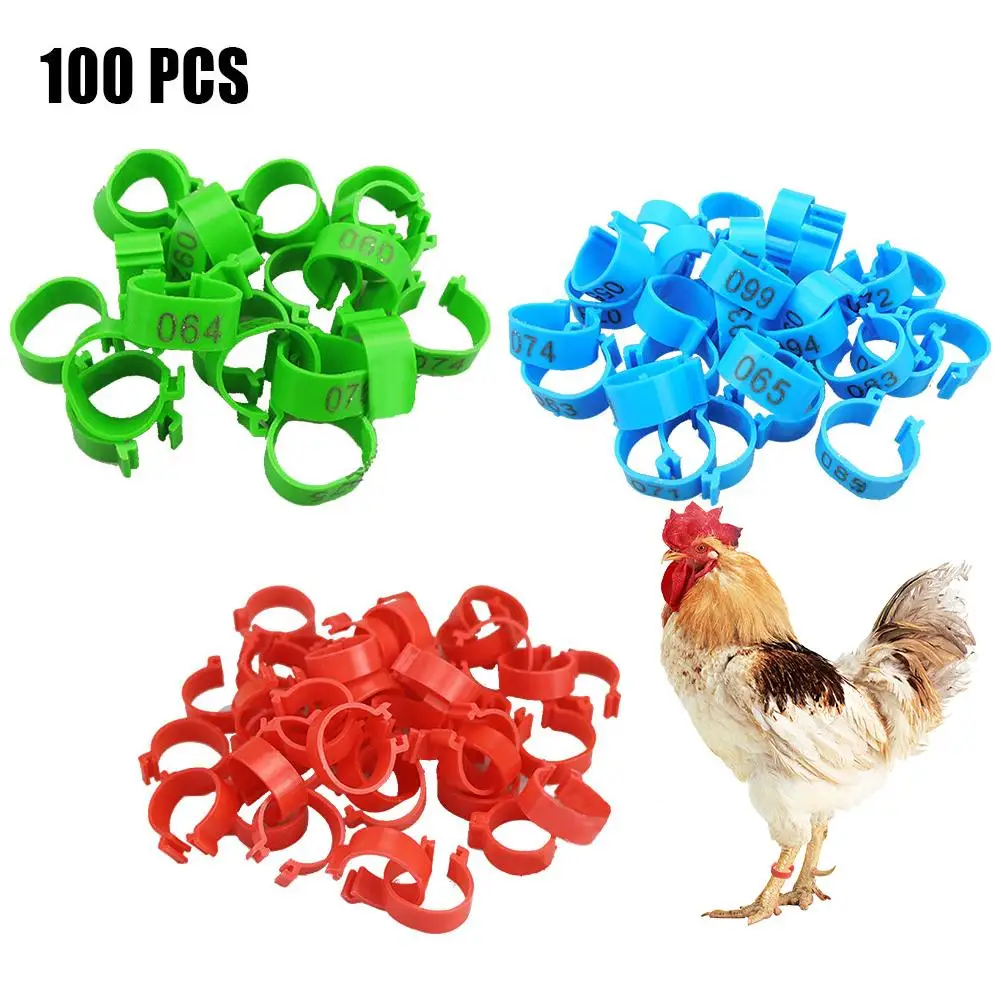 Anillos para pata de pollo, tobilleras de aves de corral, etiqueta de número, marcadores para pájaros, gamefbúho, pato turco, 2020, unids/lote, 100